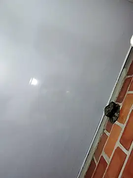 Perropa online show from 02.27.26