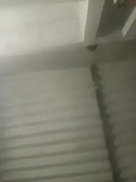 Snapshot of Payal950 chatting on 10.18.25 Payal950 online show from 10.18.25