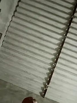 Payal950 online show from 11.13.25