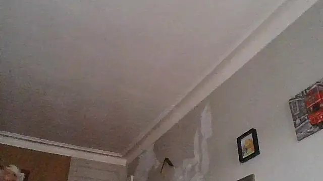 Snapshot of Titilouonlyf69 chatting on 07.23.26 Titilouonlyf69 online show from 07.23.26