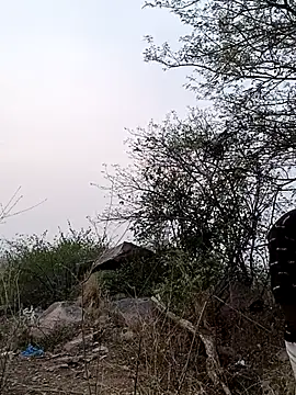 Nisha Sassmaxxx online show from 04.26.26