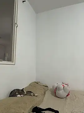 aliciia 23 online show from 11.28.25