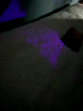 Snapshot of disvla chatting on 11.22.25 disvla online show from 11.22.25