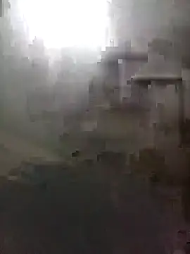 Bebicho14 online show from 02.05.26