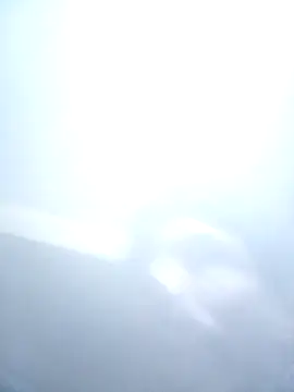 Bebicho14 online show from 02.07.26