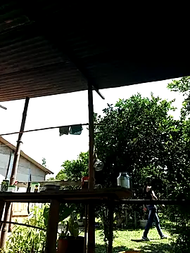 AlphaAlterX online show from 10.02.25