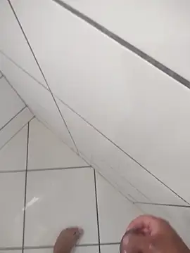 Novin23cms online show from 01.13.26