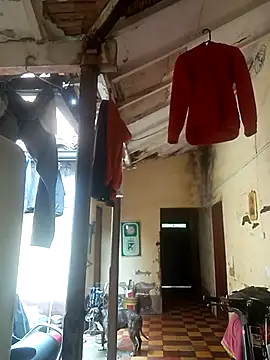 hairy mannn online show from 02.15.26