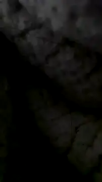 LanaAce719 online show from 10.13.25