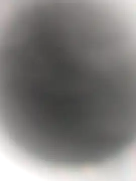 Snapshot of Necroforo chatting on 02.14.26 Necroforo online show from 02.14.26