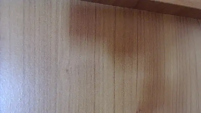 Pamela-StripX online show from 12.14.25