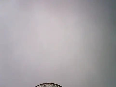 Maylissee online show from 11.02.25