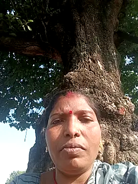 Jivika Jaiswal online show from 11.10.25