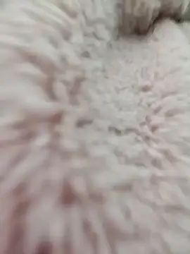 Tin tanny online show from 01.15.26