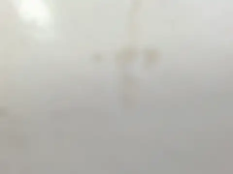 Penelopee Rouse online show from 10.20.25