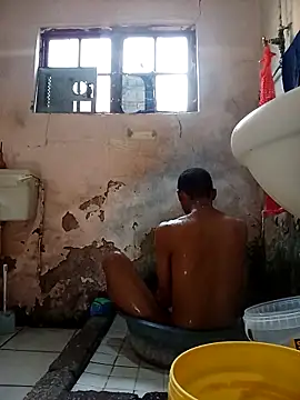 Snapshot of average_price chatting on 11.28.25 average price online show from 11.28.25