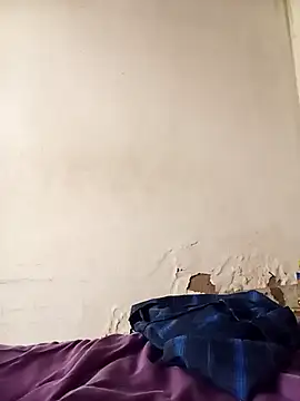 Snapshot of average_price chatting on 12.03.25 average price online show from 12.03.25