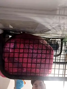 Ferxxxo1503 online show from 11.05.25