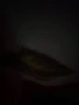 Flash356 online show from 02.24.26