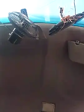 Ghkjccvk online show from 02.20.26