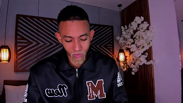 B Wild online show from 11.11.25