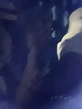 8133vaibhavh online show from 10.03.25