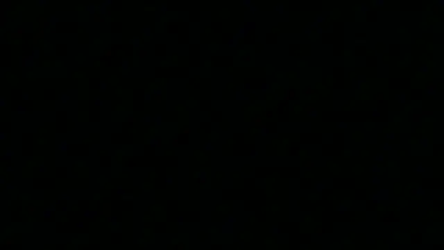 Snapshot of Pyrelissa chatting on 12.04.25 Pyrelissa online show from 12.04.25