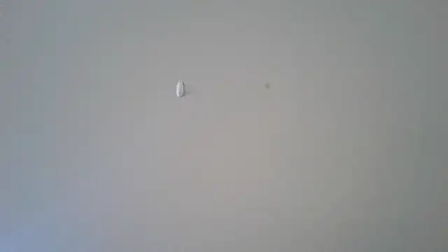 Snapshot of abimusic99 chatting on 02.25.26 abimusic99 online show from 02.25.26