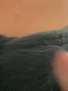 Snapshot of ___seusegredo chatting on 02.04.26 seusegredo online show from 02.04.26