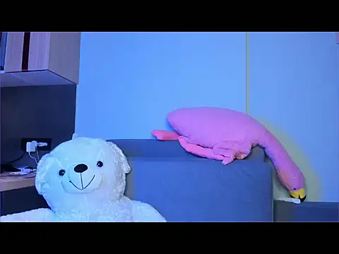 tokipokki online show from 01.13.26