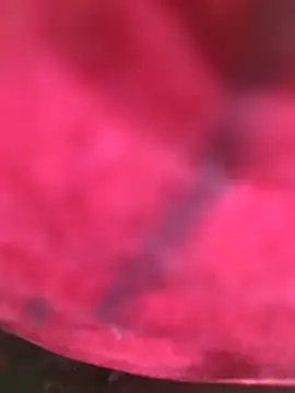 Chanderi19 online show from 12.03.25