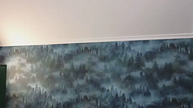 MarkShot  online show from 11.11.25