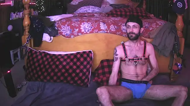 Snapshot of HarmoniousPhantasm3 chatting on 11.04.25 HarmoniousPhantasm3 online show from 11.04.25