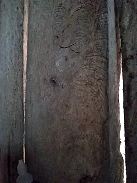 bonnie-00 online show from 10.29.25