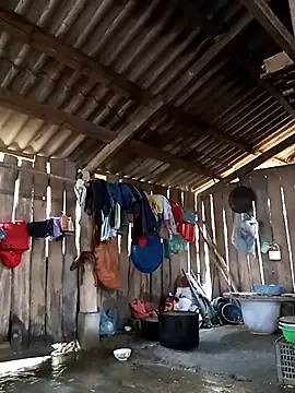 bonnie-00 online show from 02.15.26