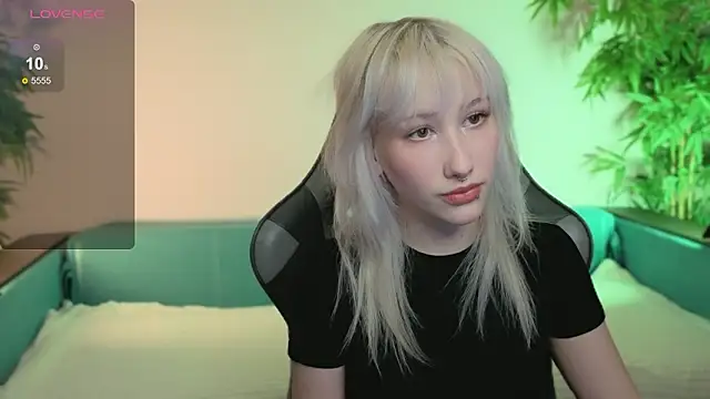 evlica online show from 02.17.26