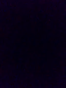 Snapshot of Cachorrinha2025 chatting on 11.21.25 Cachorrinha2025 online show from 11.21.25