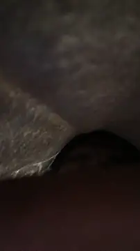 panganamno online show from 11.15.25