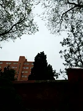 oliver sanders online show from 03.09.26