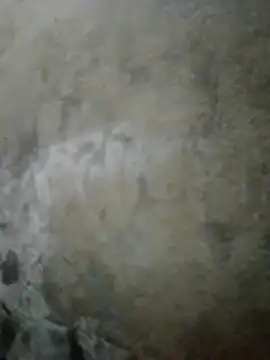 sweet bella16 online show from 10.14.25