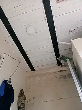 zamir adam online show from 10.31.25