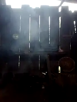 donna-bae online show from 10.03.25