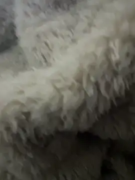 Snapshot of futsam653 chatting on 11.12.25 futsam653 online show from 11.12.25