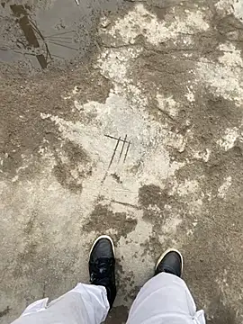 swami ji online show from 03.19.26