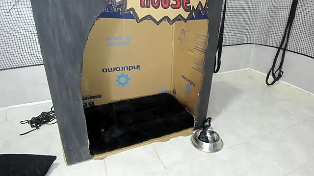 Snapshot of BDSM_MEDUZA chatting on 02.13.26 BDSM MEDUZA online show from 02.13.26