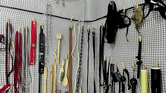 Snapshot of BDSM_MEDUZA chatting on 02.20.26 BDSM MEDUZA online show from 02.20.26