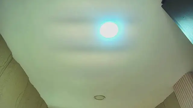 dany r  online show from 11.22.25