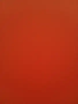 Veronica13 online show from 01.05.26