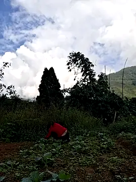 diamond-- online show from 11.15.25