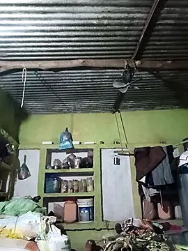 Haliya88 online show from 10.06.25